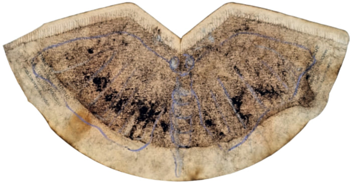 Kaffeefilter Susan Gold / Smith